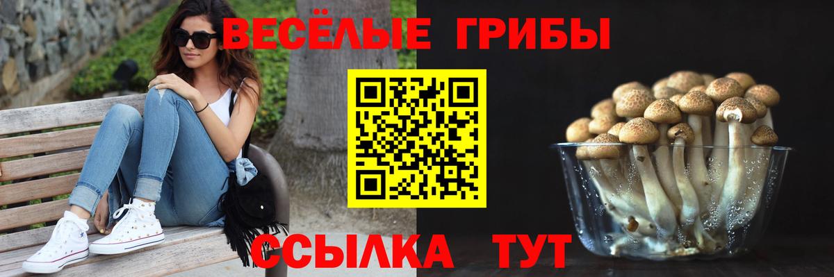 Североморск  Галлюциногенные грибы прущие грибы  Вход с VPN 